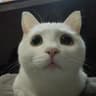 Longtai Liao